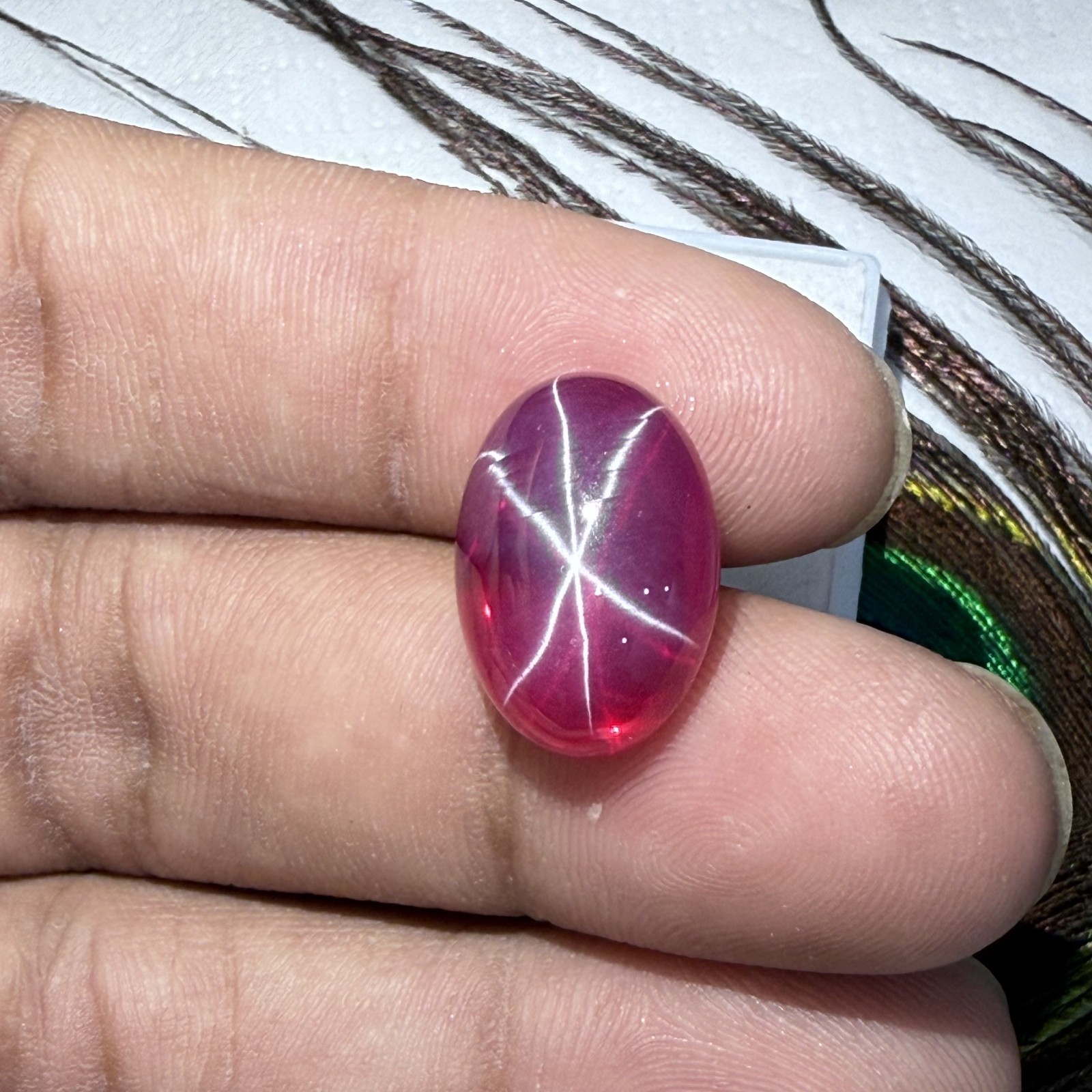 Certified 19.80 Ct Natural Vietnam Star Ruby 17.9×13.1 mm Oval 6-Ray Gemstone