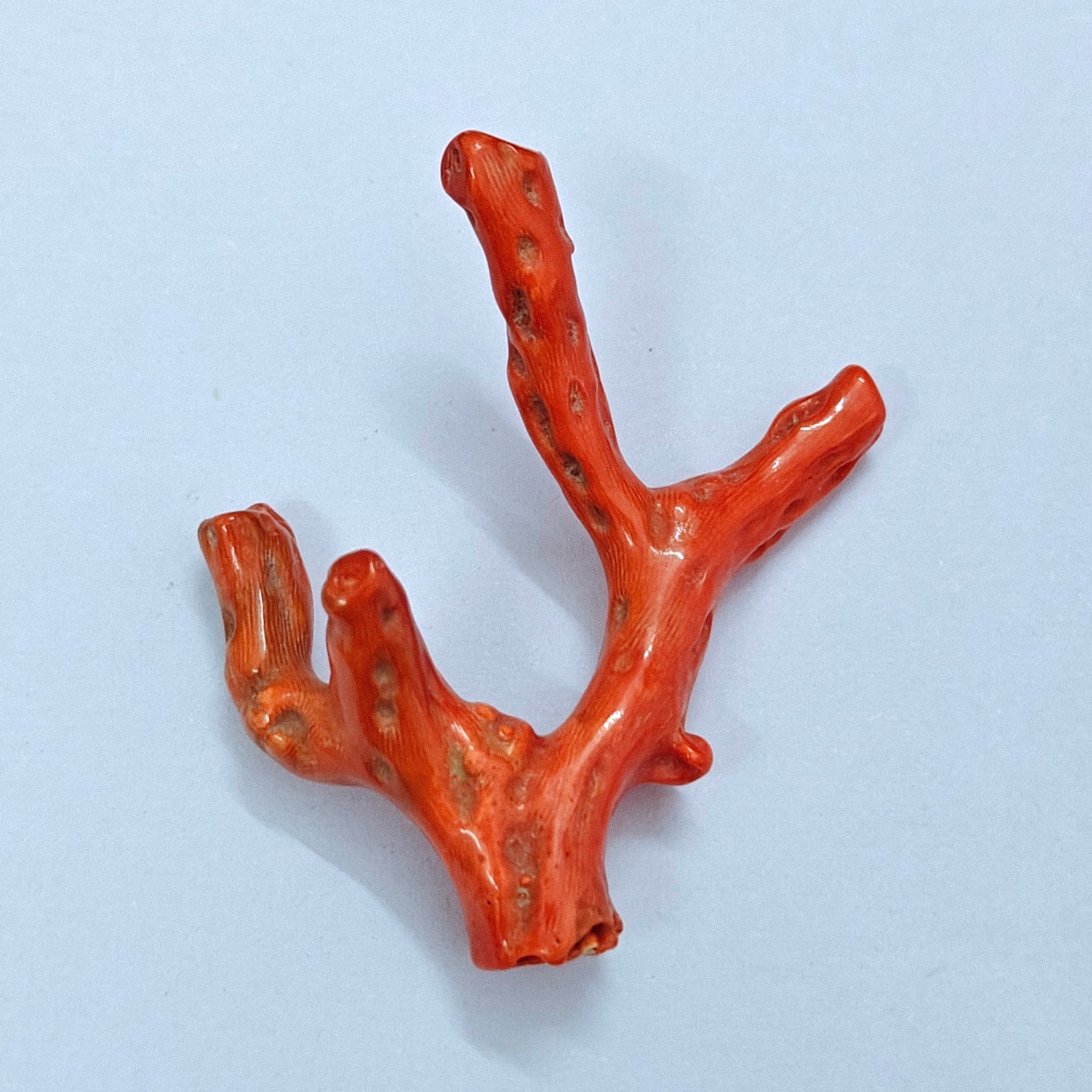 Natural Pink Coral Polished Branch Rough Stick Loose Sea Gemstone For Collectors