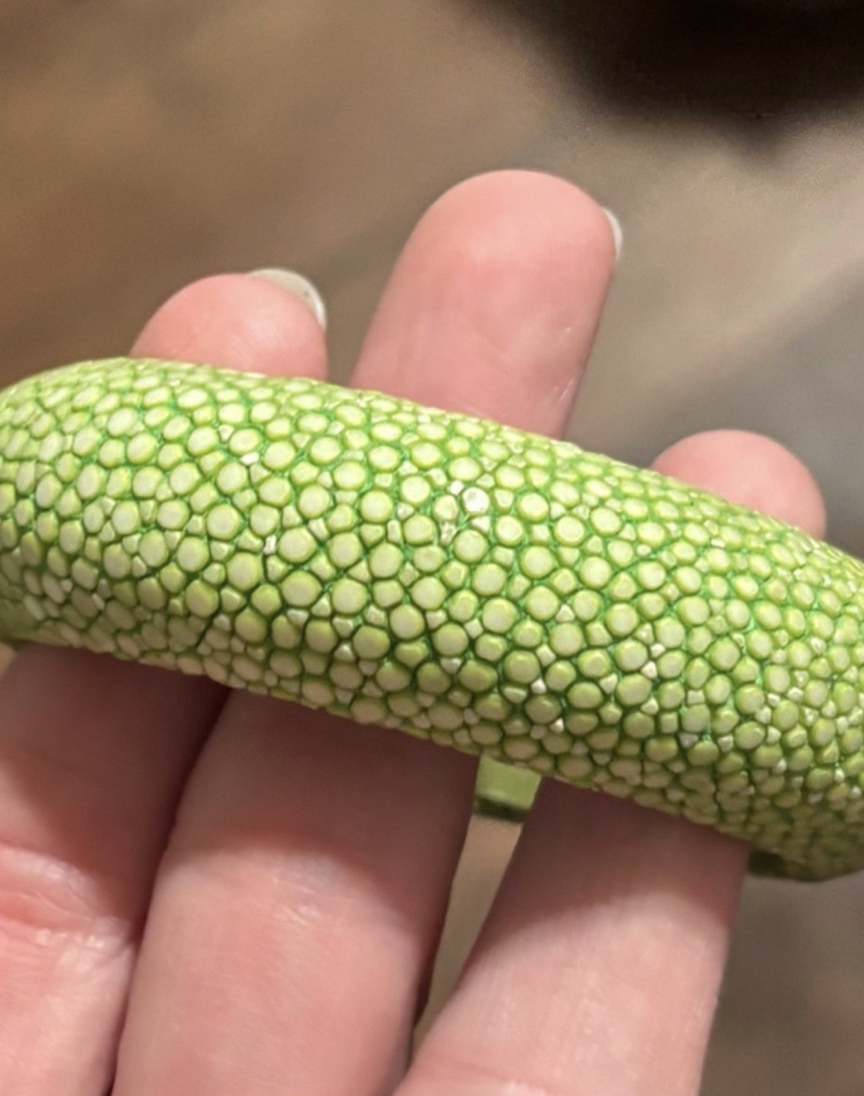 Beautiful Prized Genuine Green Stingray Leather Cuff Bangle Size 6.5”