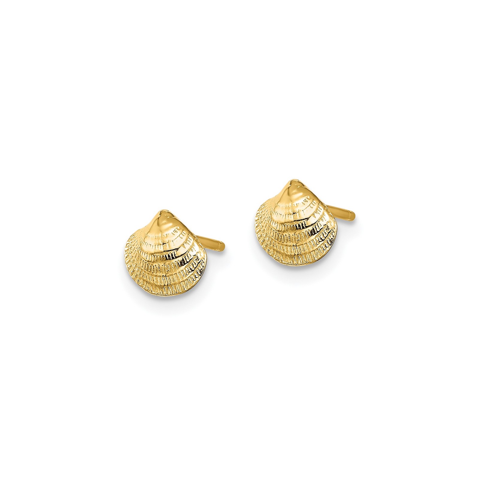 14k Yellow Gold Mini Clam Shell Post Earrings