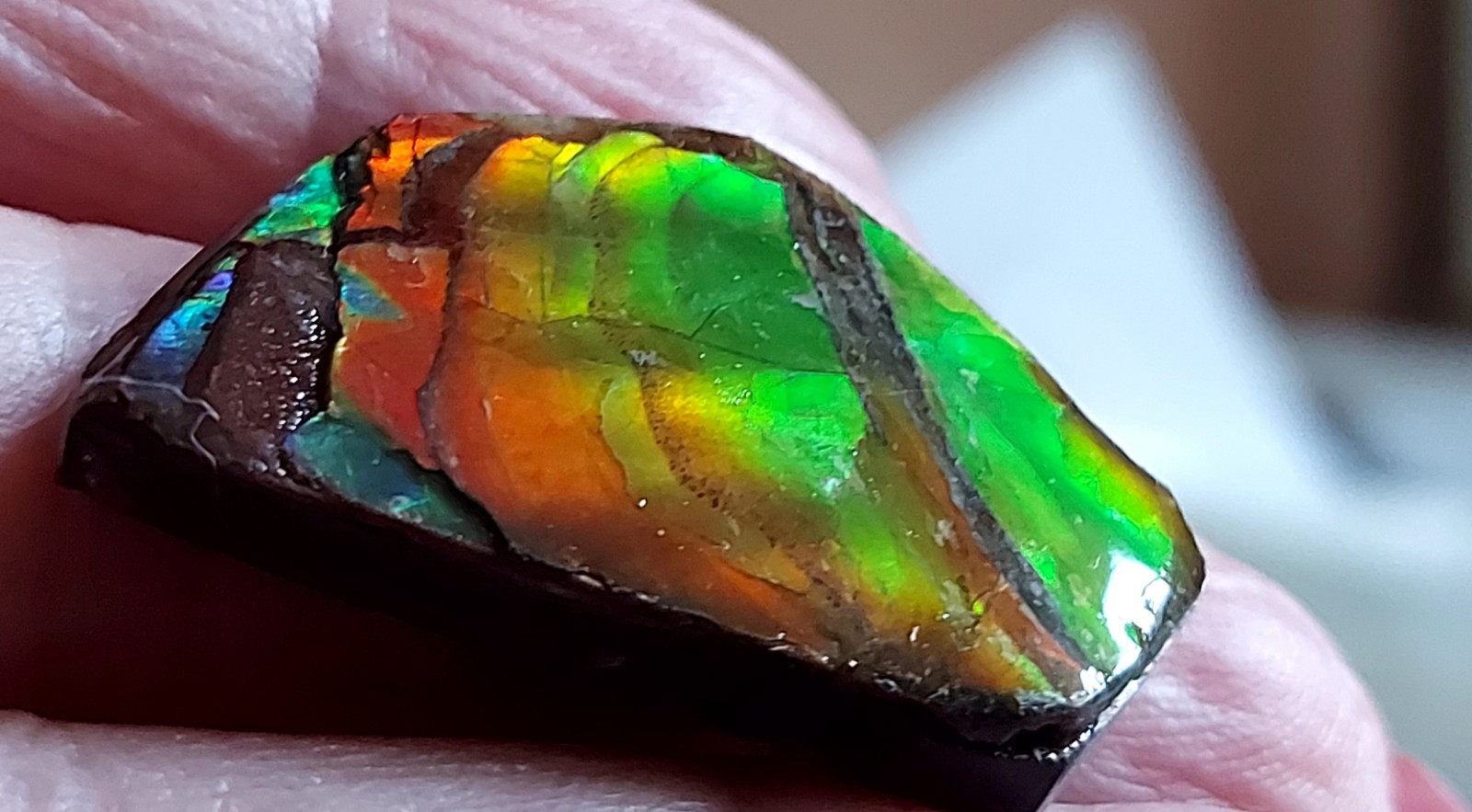 Ammolite Ammonite Coated Stone Color Changer BEAUTY 30.3x22x7mm 5697