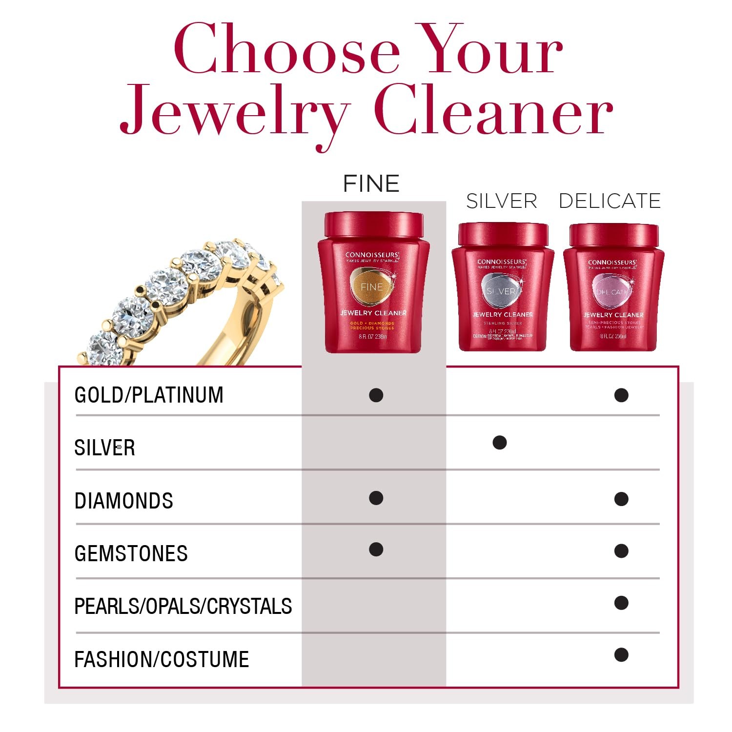 CONNOISSEURS – Fine Jewelry Cleaner Solution – 9.6 fl oz