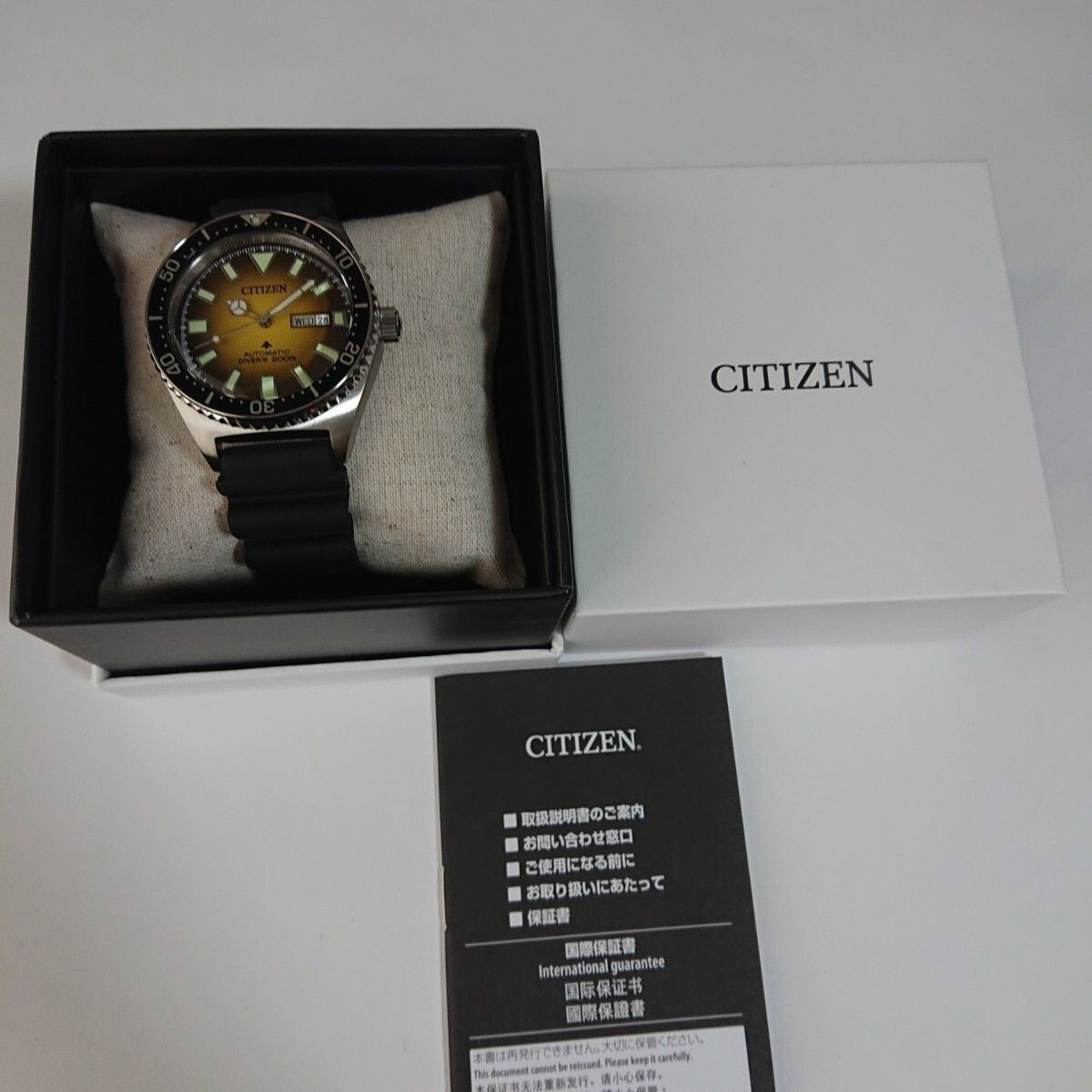 Overseas model Citizen Promaster NY0120 01X PROMASTER MARINE diver 200m automati