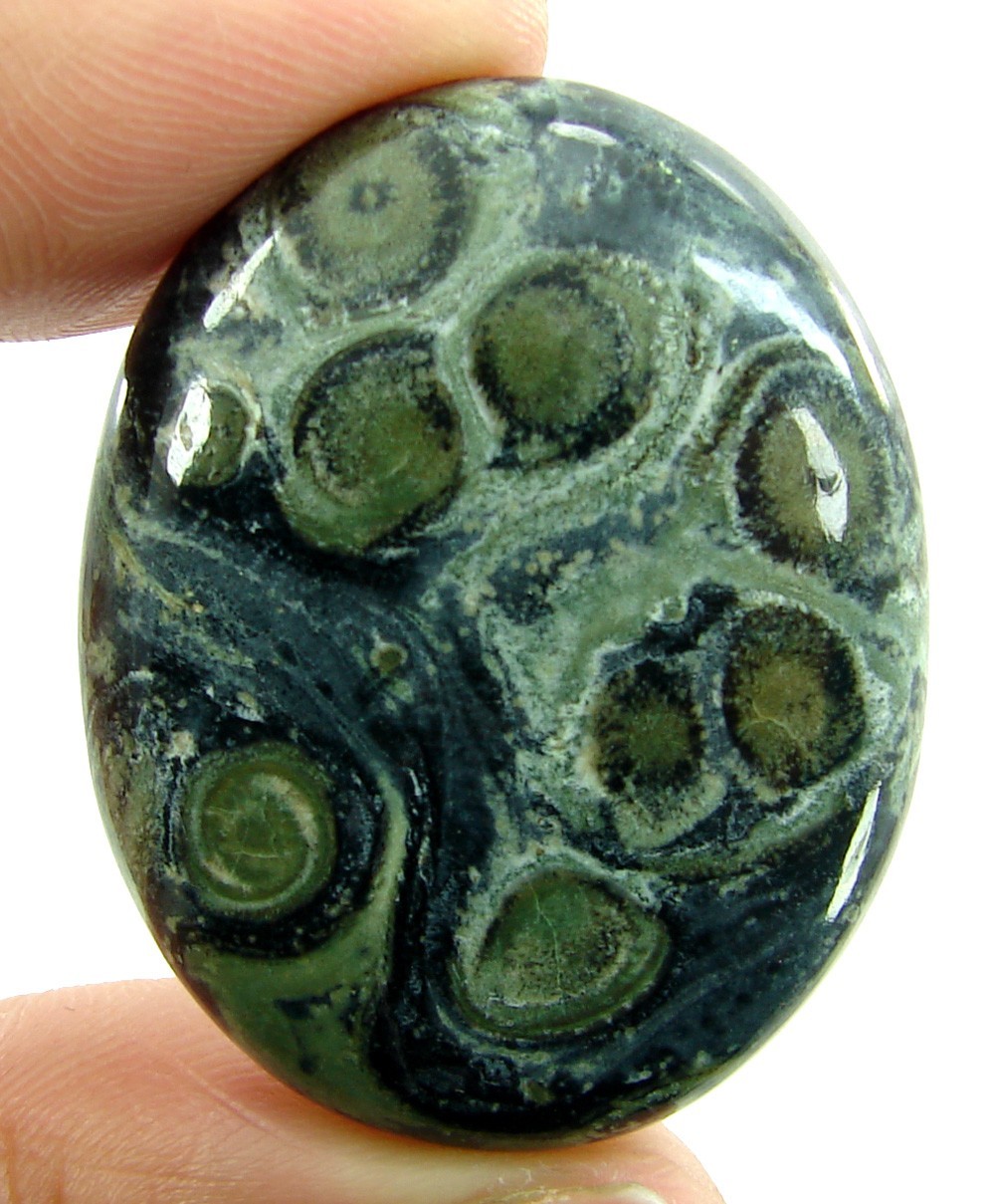 53.15 Ct Natural Kambaba Jasper Loose Gemstone Stone Cab Wire Wrap Stone – 2398