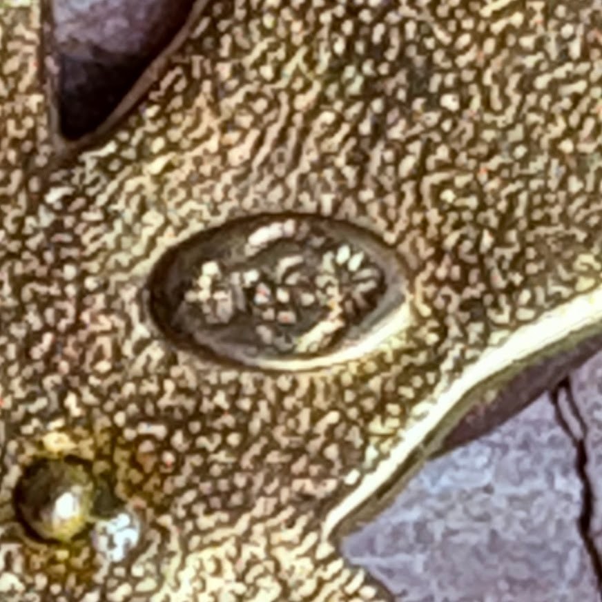 Vintage Premier Design Mixed Metals Butterfly Brooch Signed