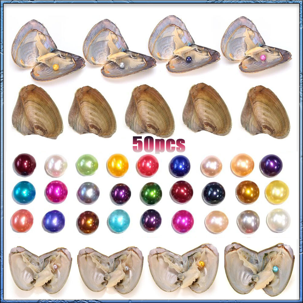 50x Fresh Oysters with Pearls Freshwater Pearl Individually Wrapped jewelry Gift