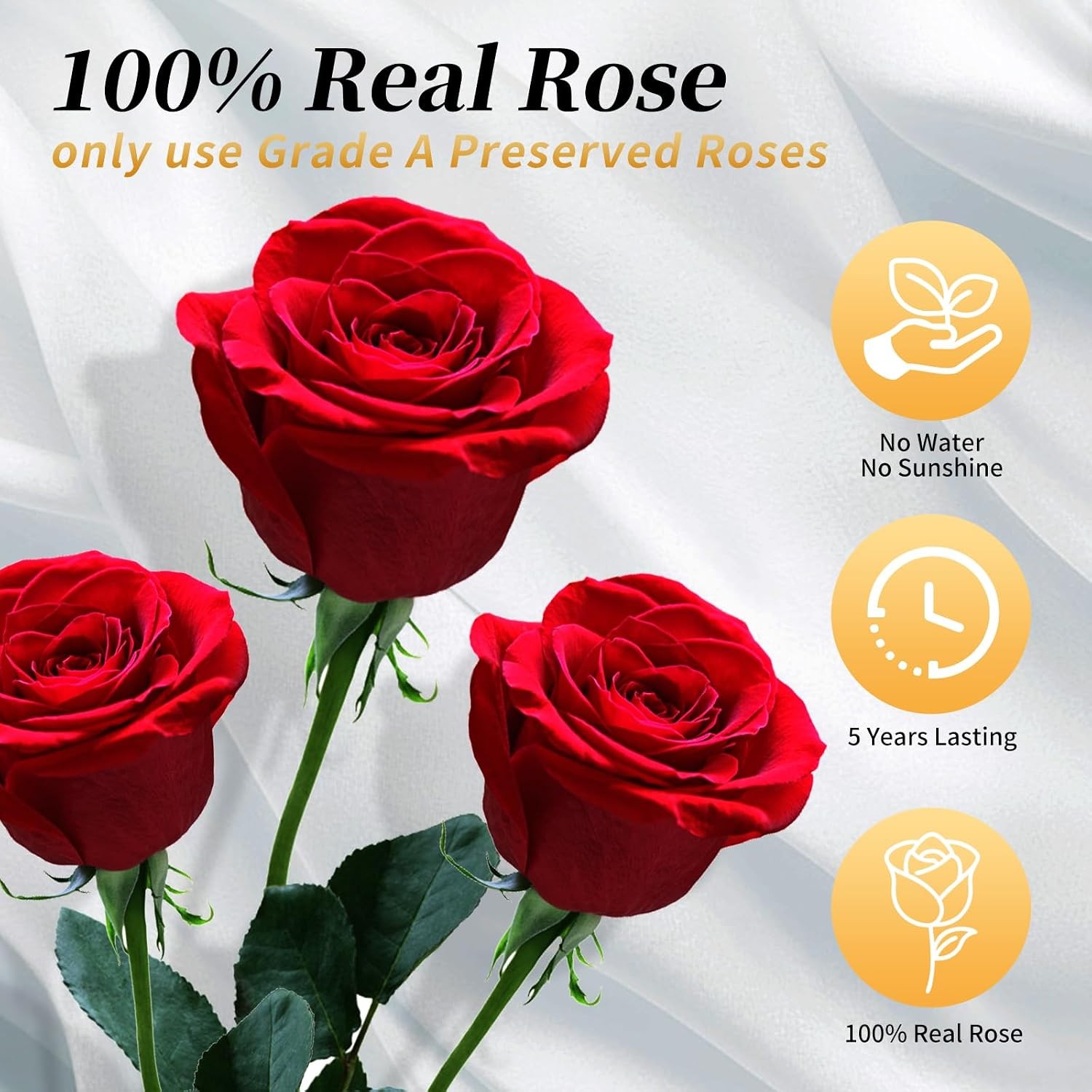 Red Preserved Artificial Roses in a Box of 4 Long Lasting Dried Flowers