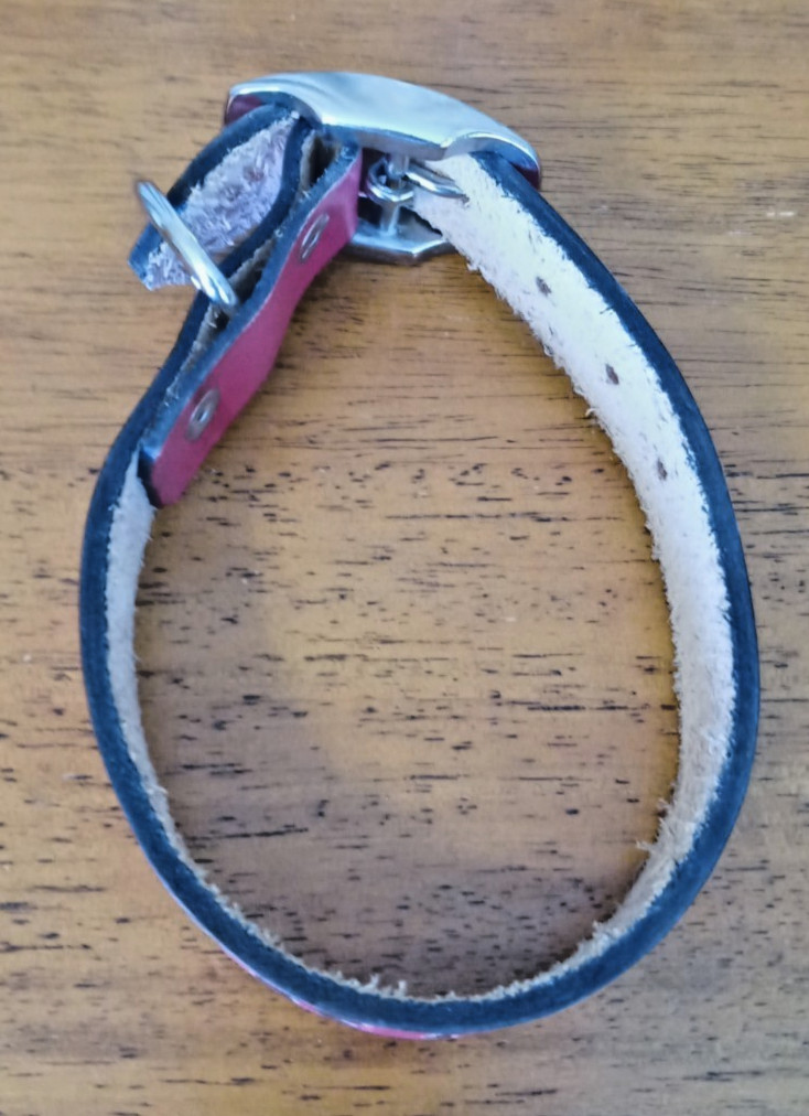 Vintage Red & Black Leather Gothic Thick Wide Garnet Cosplay Choker Collar 12″