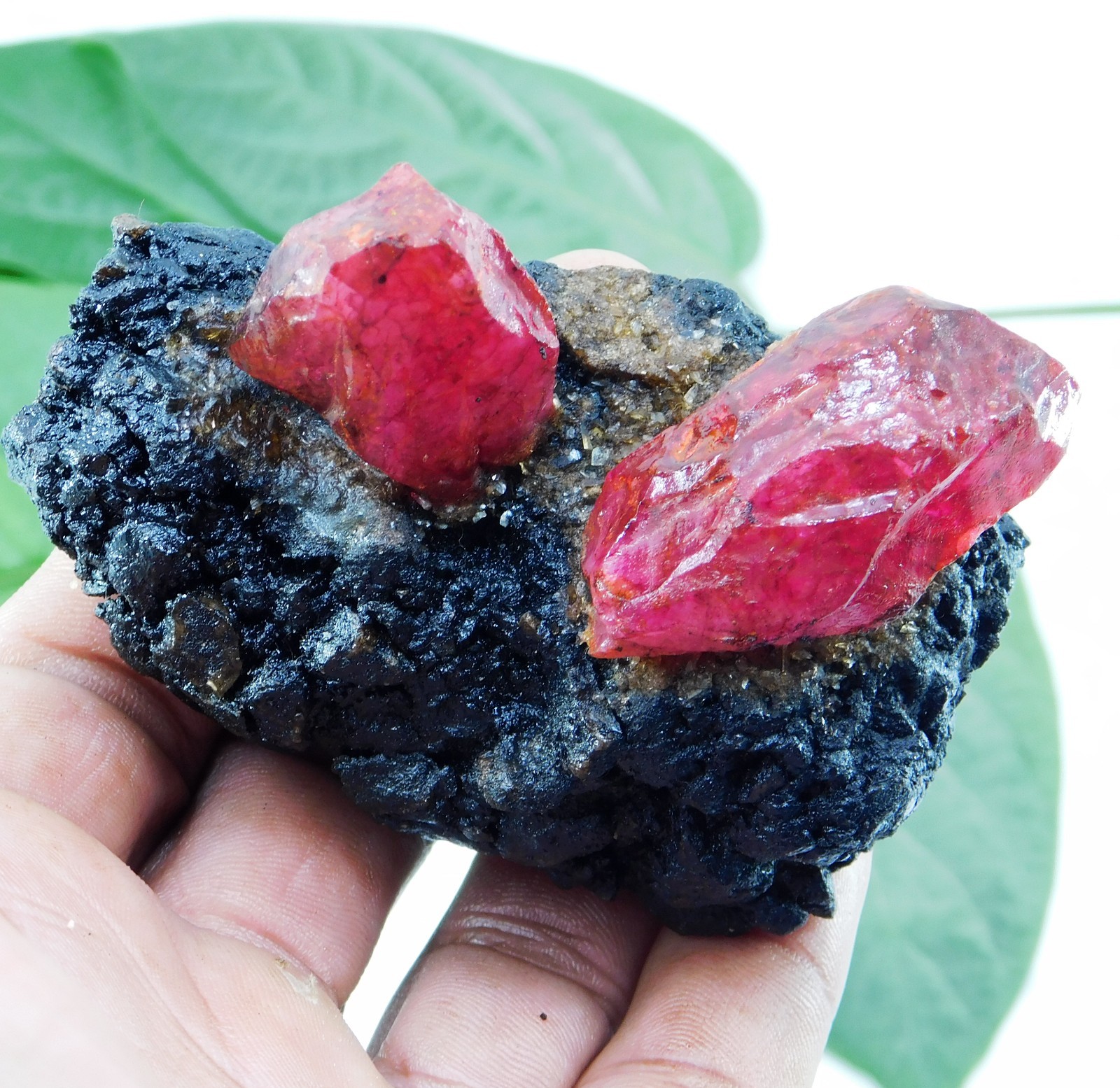 Certified 685 Ct Natural Ruby Matrix with Crystals Rough Specimen for Collectors