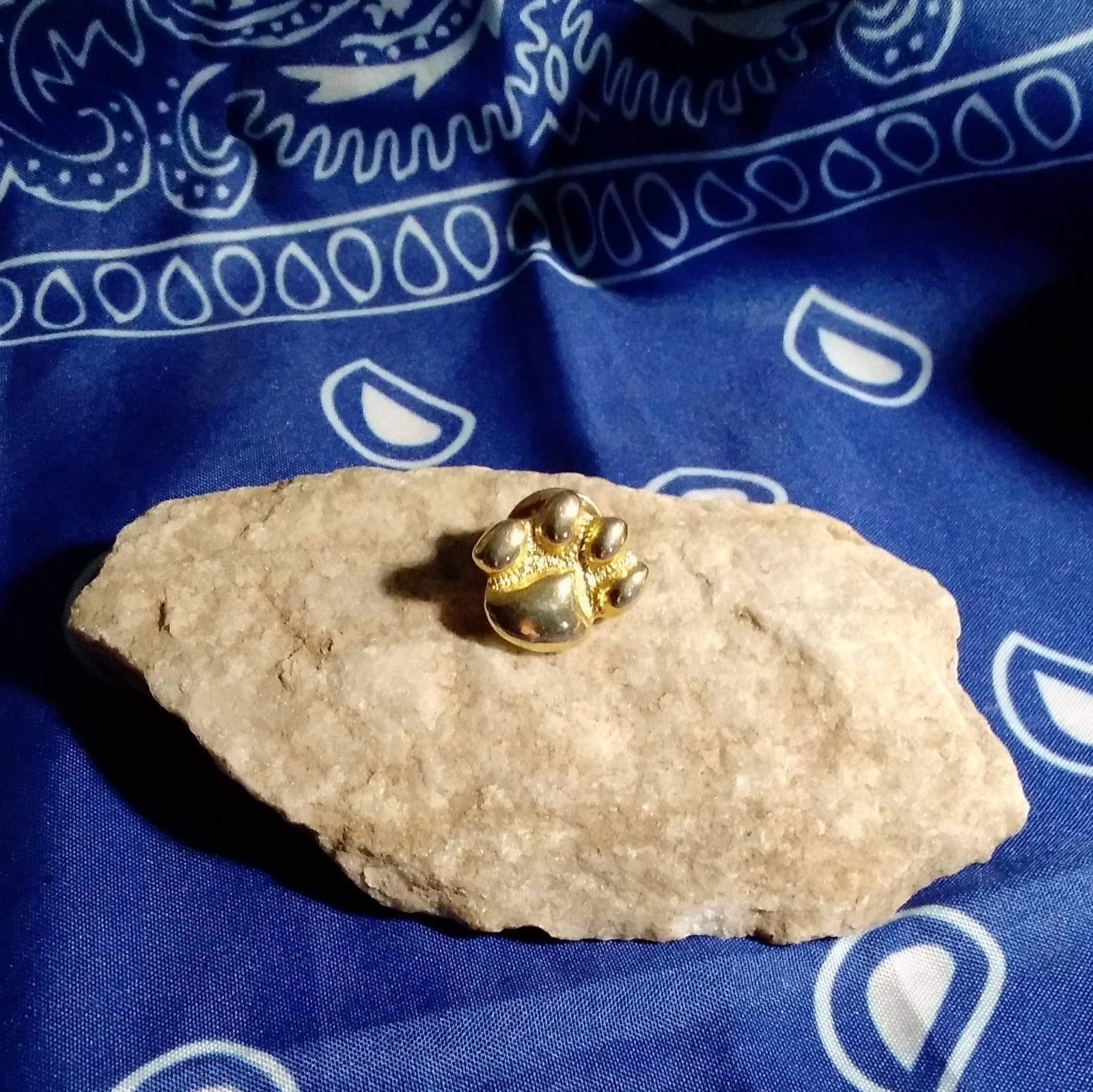 Gold Tone Paw Print Clutch Back Lapel Pin – Metal Animals & Insects Theme
