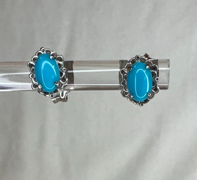 Blue Sleeping Beauty Turquoise Rhodium Over Sterling Silver Stud Earrings NEW