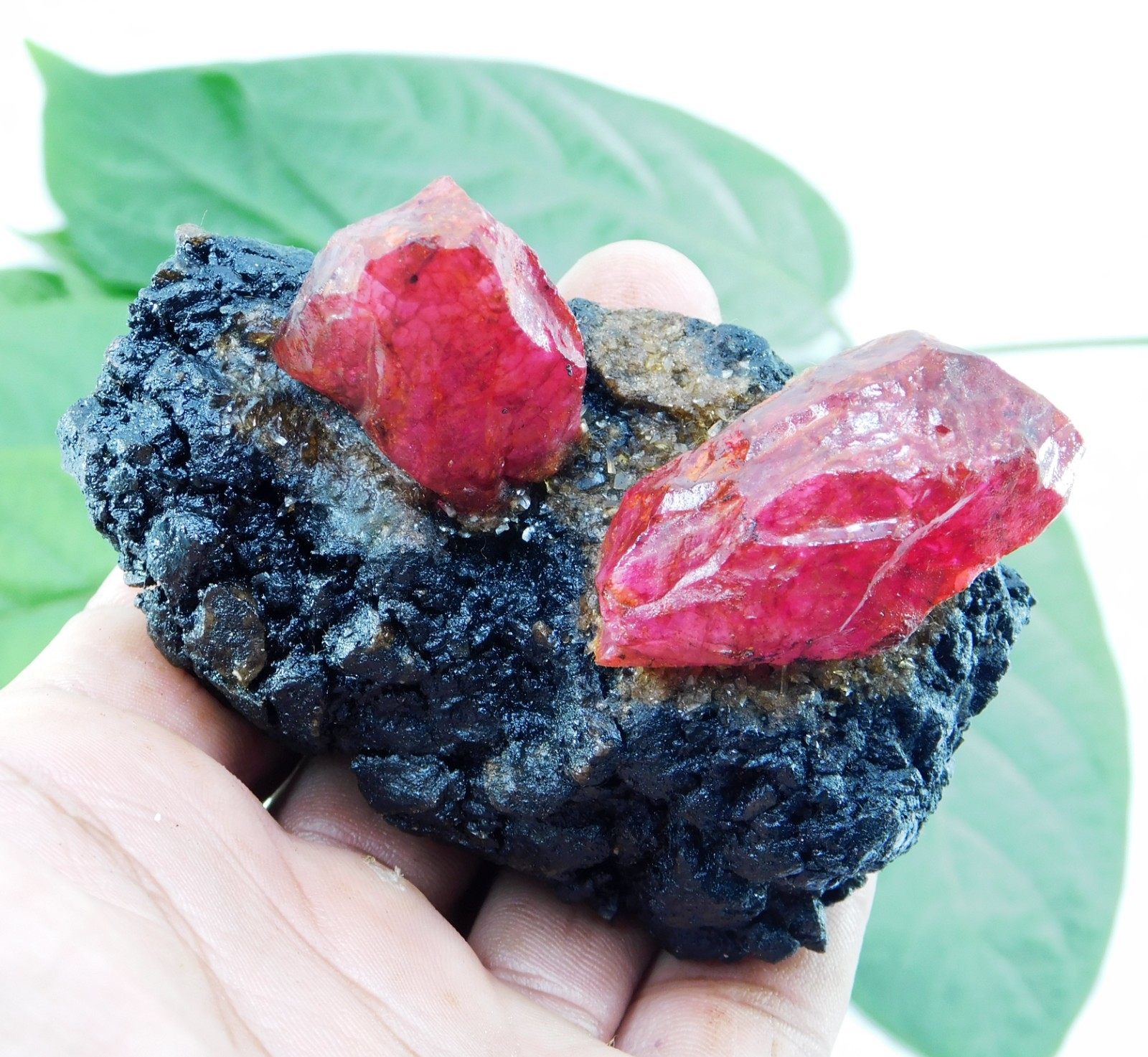 Certified 685 Ct Natural Ruby Matrix with Crystals Rough Specimen for Collectors