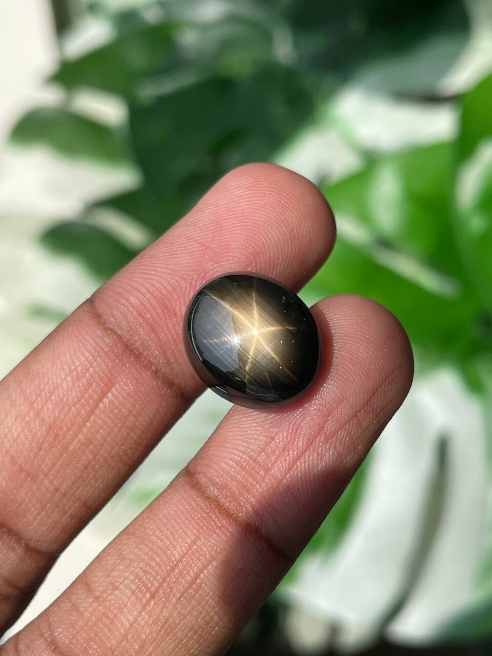 Black Star Sapphire 26.11ct – 16x14mm (BL0047) Natural Unheat Gemstone
