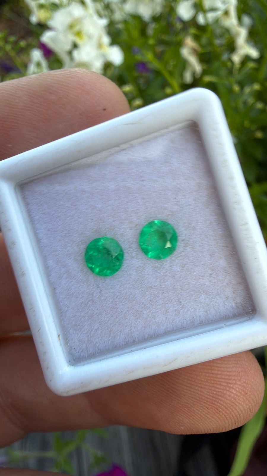 Colombian MUZO Emerald Earring pair loose gemstone .69 cts