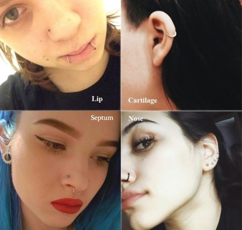1Pc Seamless Hinged Segment Sleeper Clicker Ring Hoop Ear Lip Nose Septum Pierce