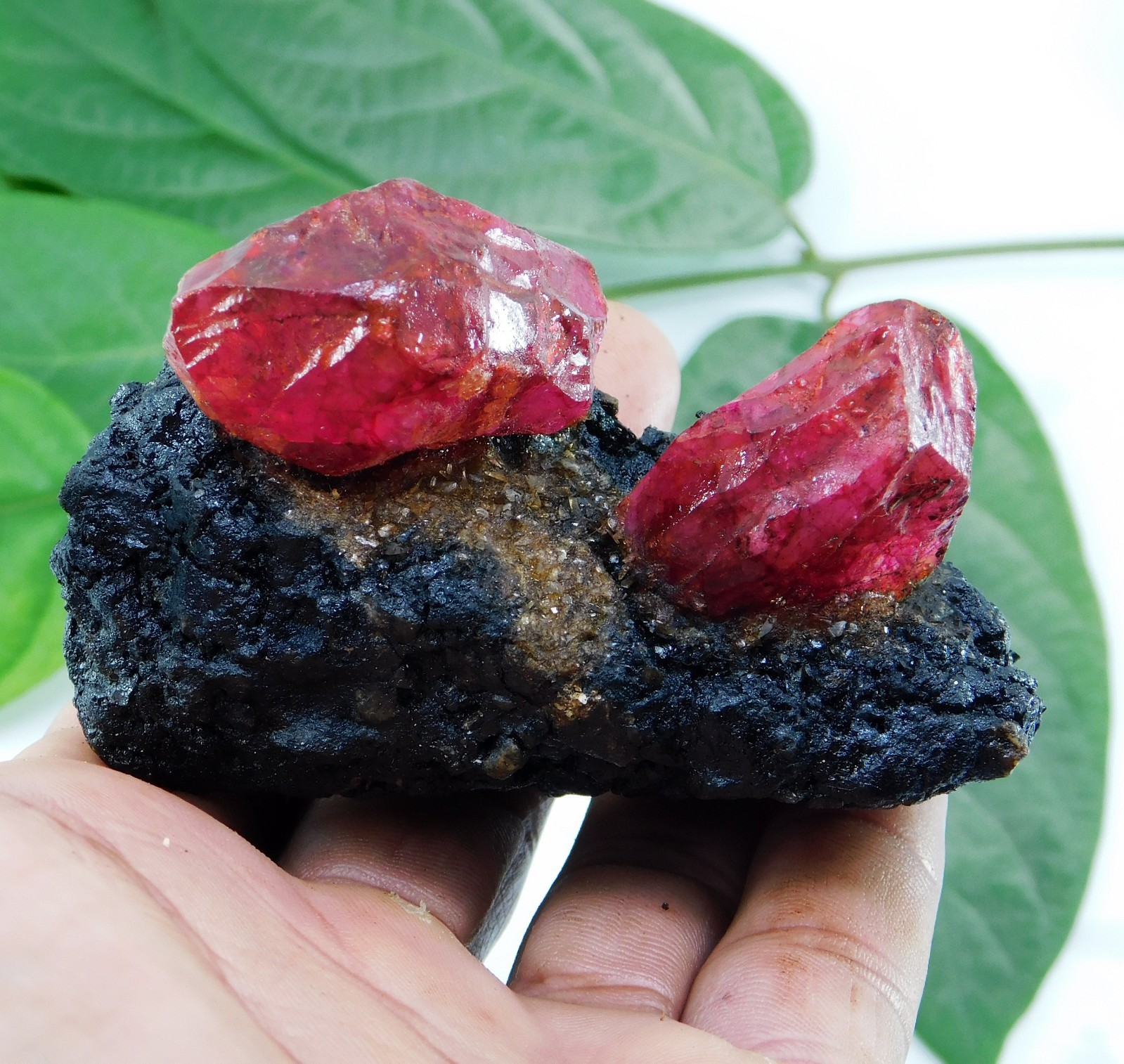 Certified 685 Ct Natural Ruby Matrix with Crystals Rough Specimen for Collectors