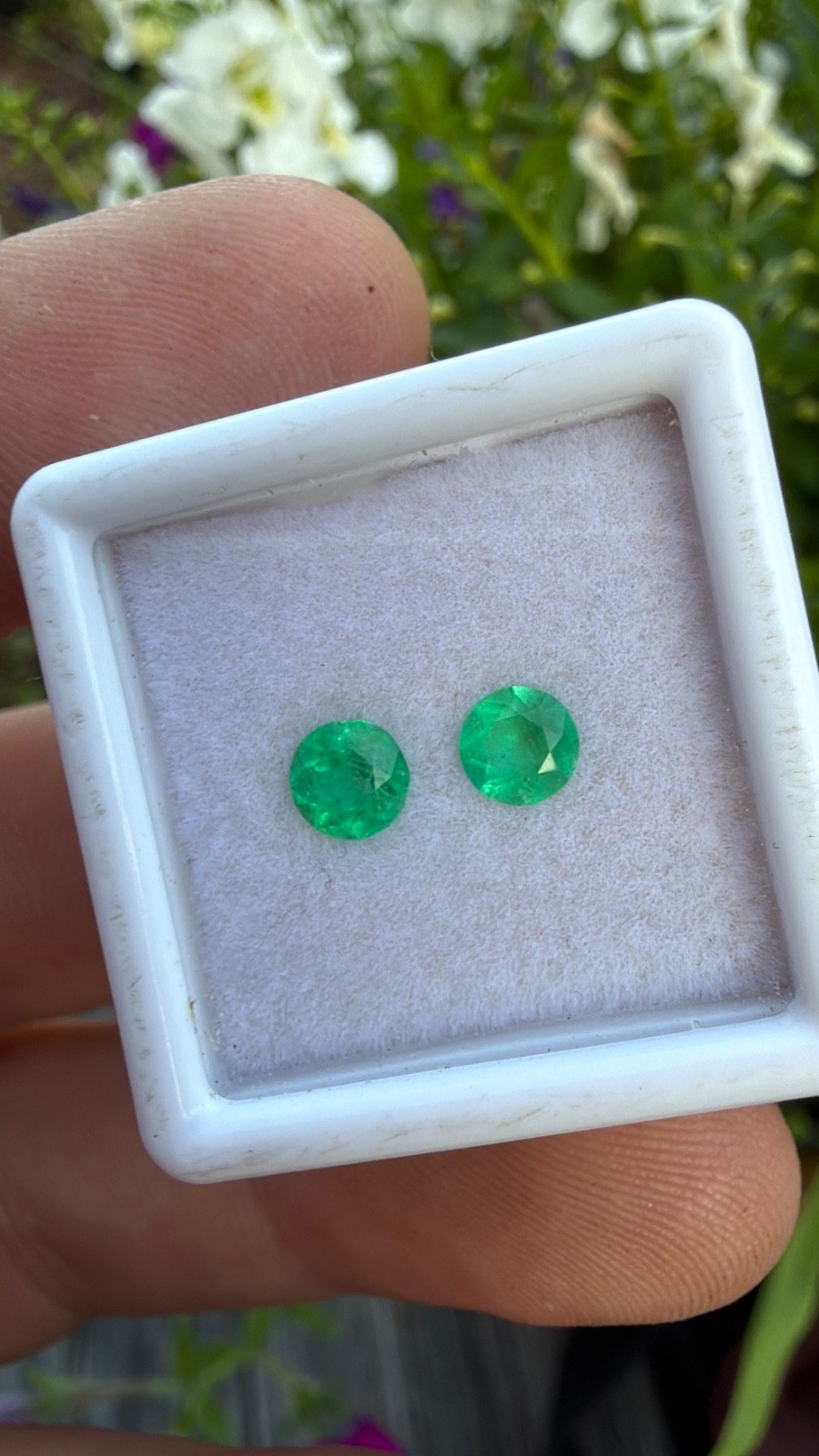 Colombian MUZO Emerald Earring pair loose gemstone .69 cts
