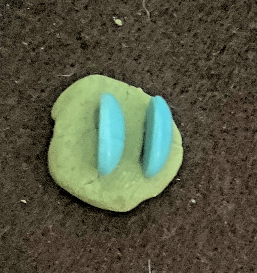 One Pair 12x10mm Turquoise Oval Cabochons 8.3tcw Calibrated Stabilized