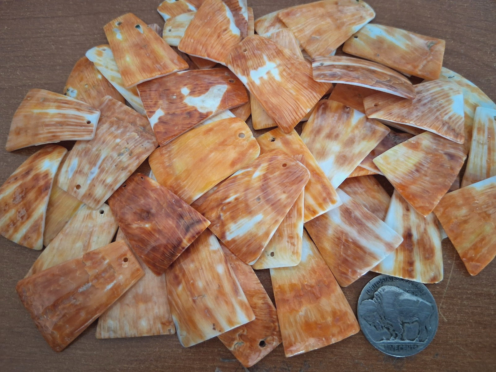 Spiny Oyster Orange Hut Shaped Earring Pairs Approx 30 x 20 mm