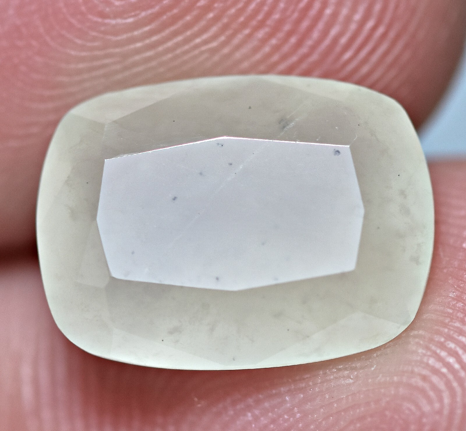 6.80 Carat Top Quality Faceted Rare White Grossular Cut Gem from Pakistan