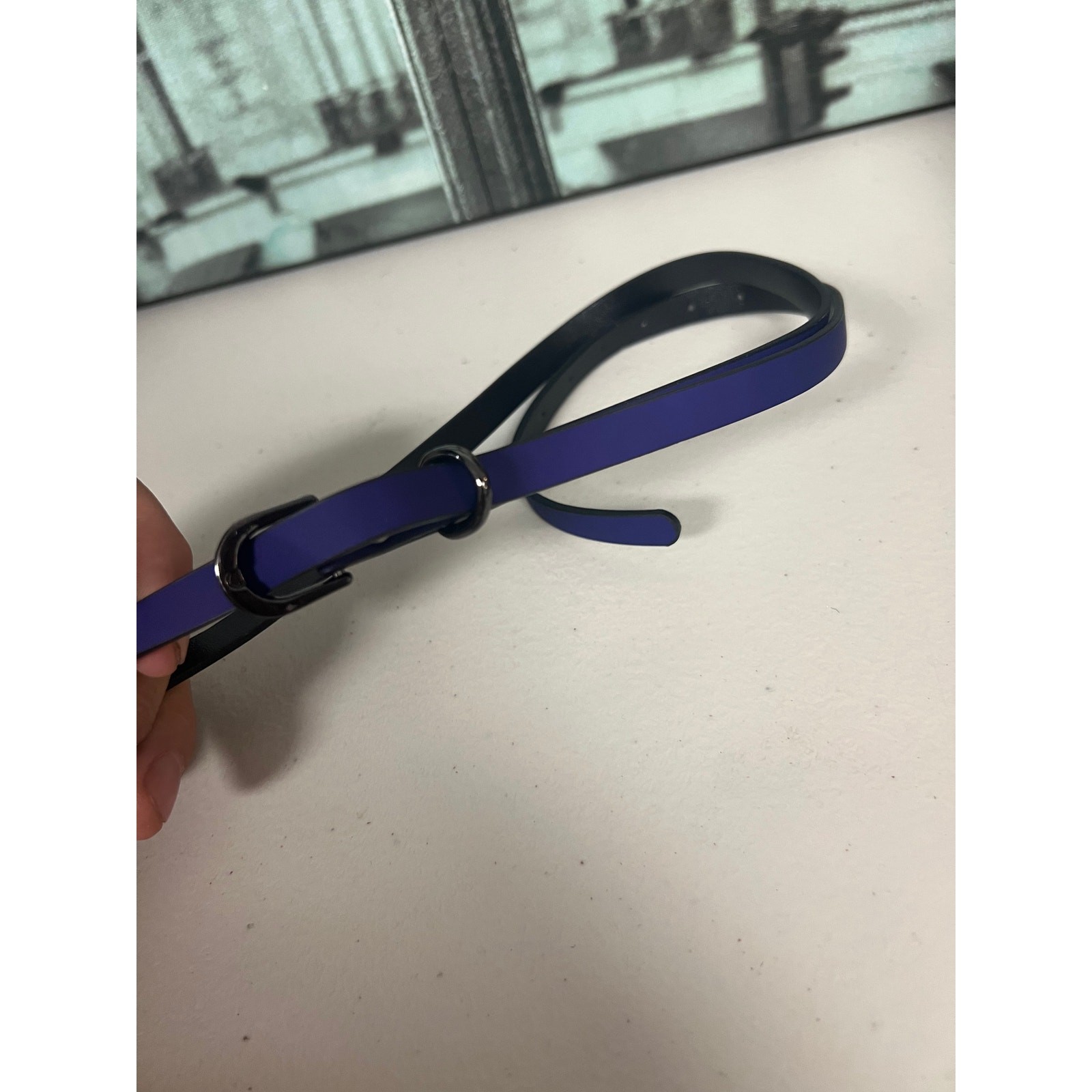 Heat-Sensitive Thermochromic Leather Choker with Leash