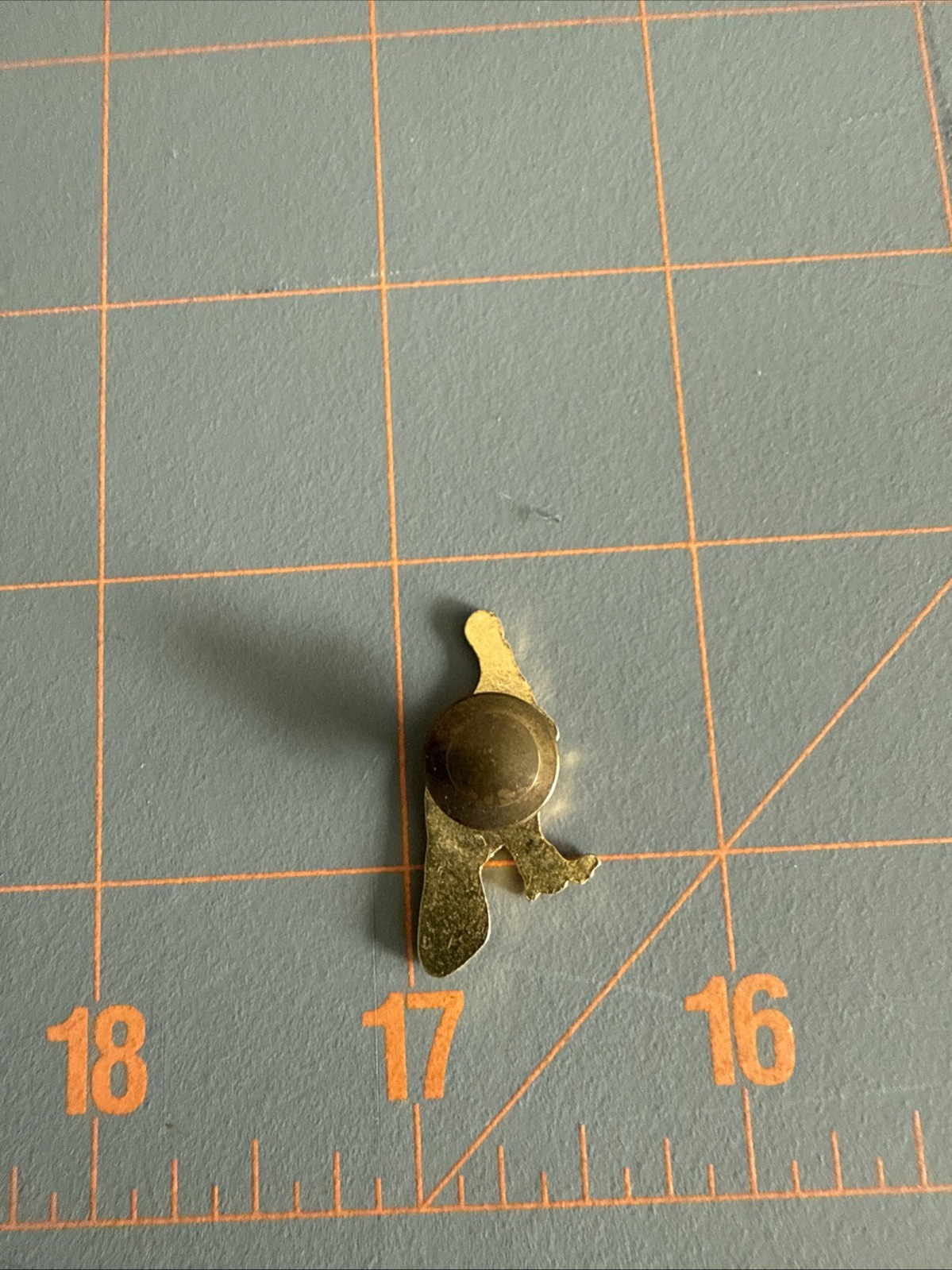 Turkey Pin