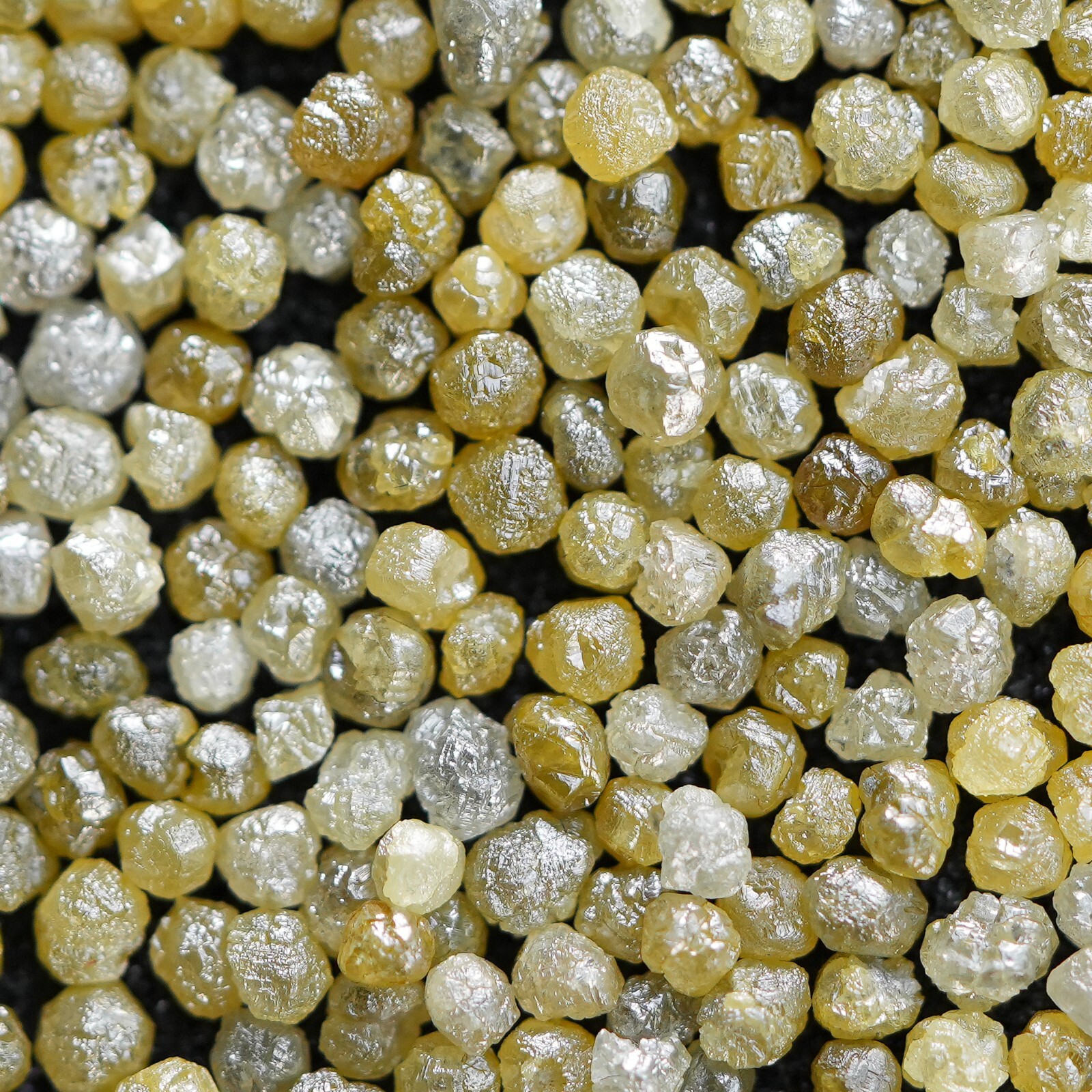 Natural Yellow Rough Loose Diamond Raw African 10 PCS 1.00CTW Carat 2.5-3MM