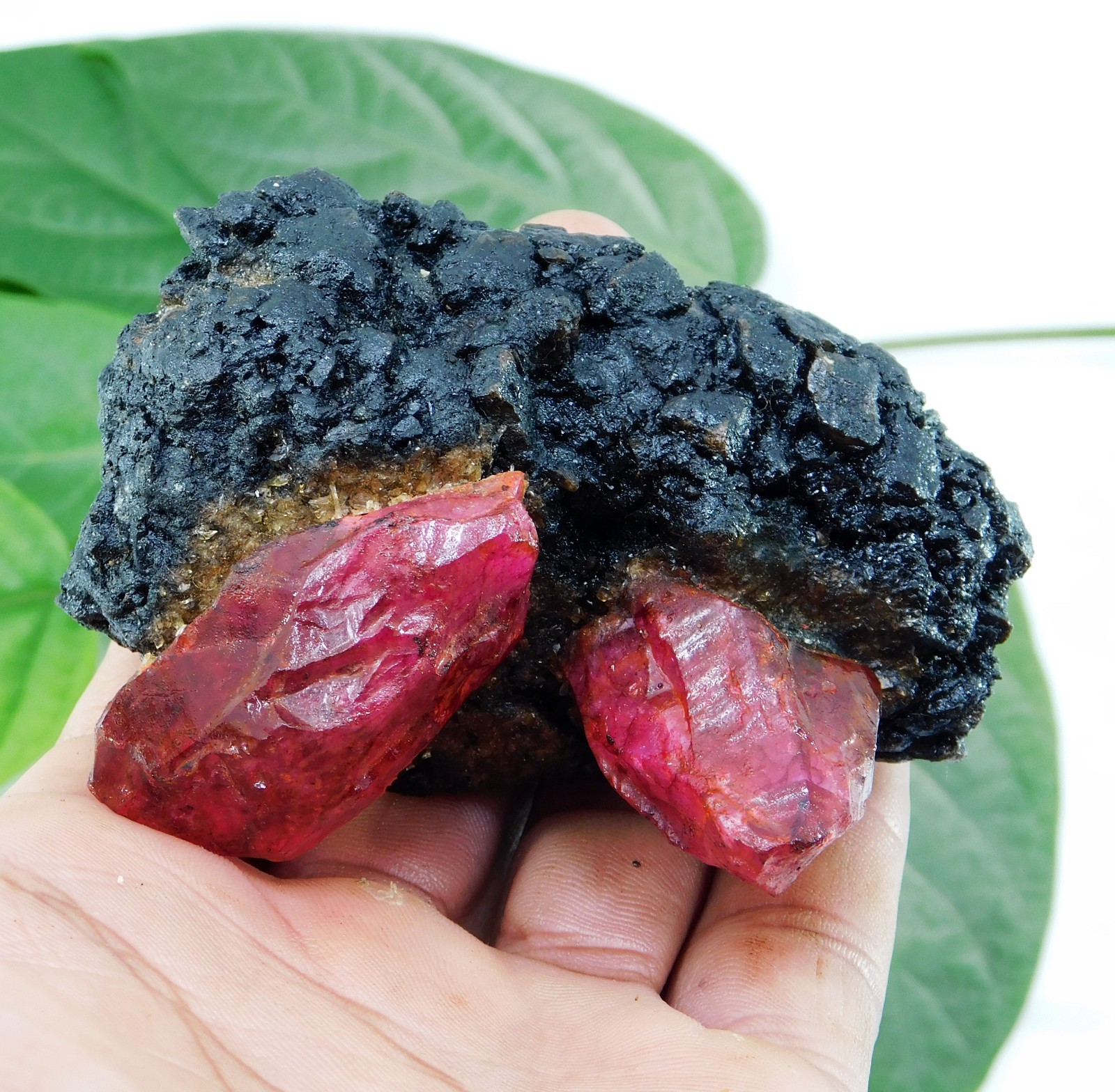 Certified 685 Ct Natural Ruby Matrix with Crystals Rough Specimen for Collectors