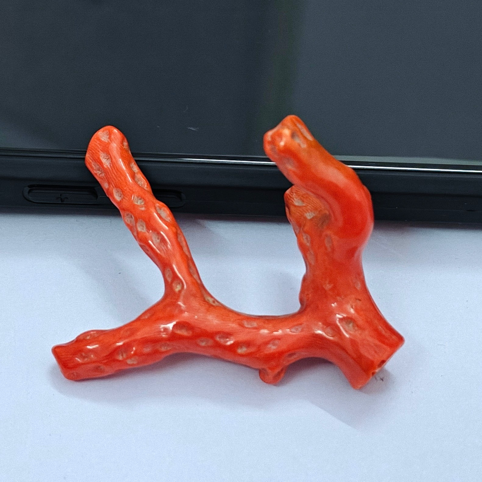 Natural Pink Coral Polished Branch Rough Stick Loose Sea Gemstone For Collectors