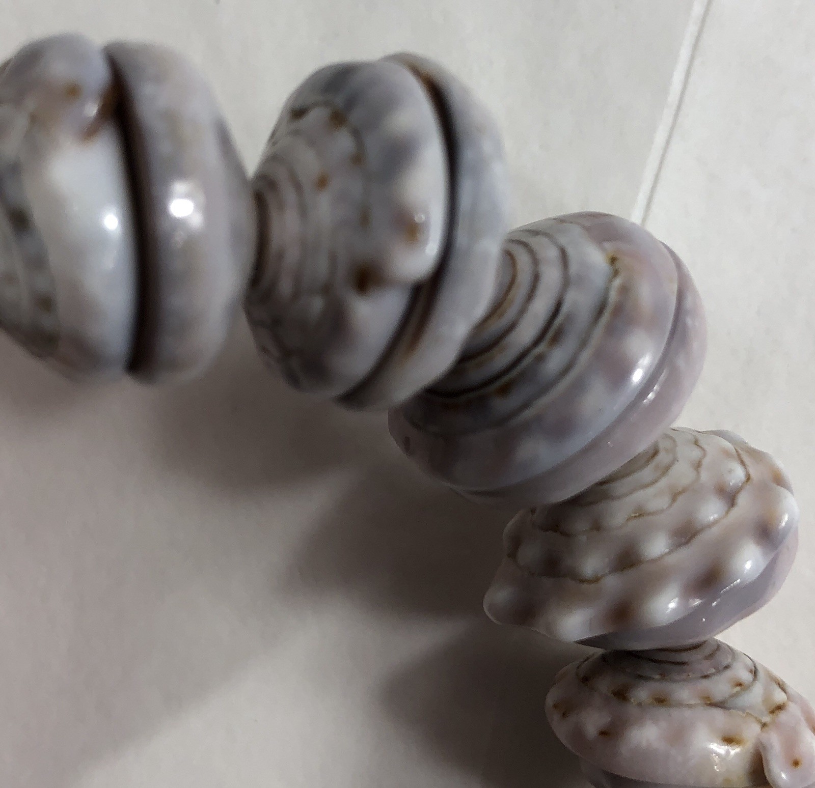 Puka Shell Necklace Hawaiian Lei Graduated 9 mm to 17 mm 17 in Length – Vintage