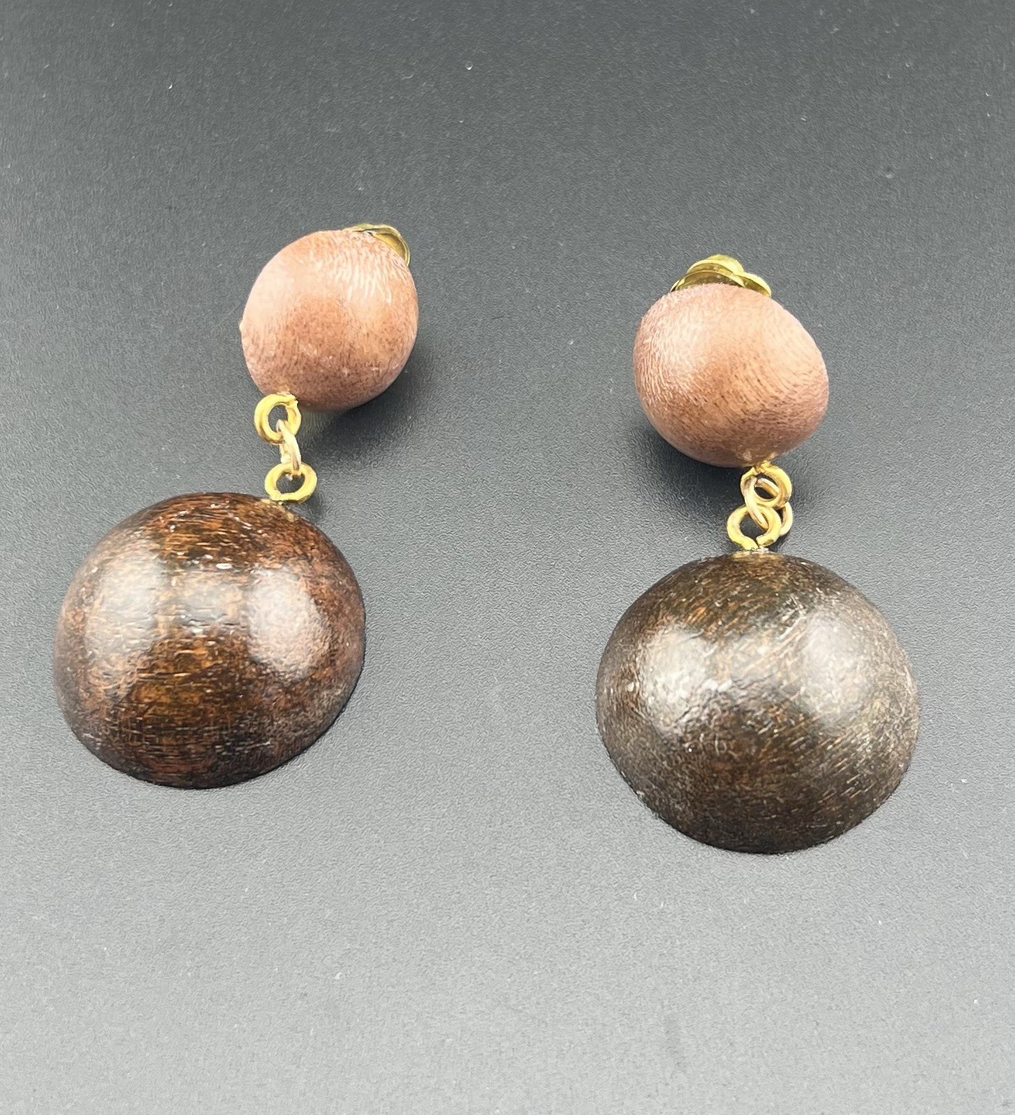 Rara Avis 2 Tone Wood Clip Earrings