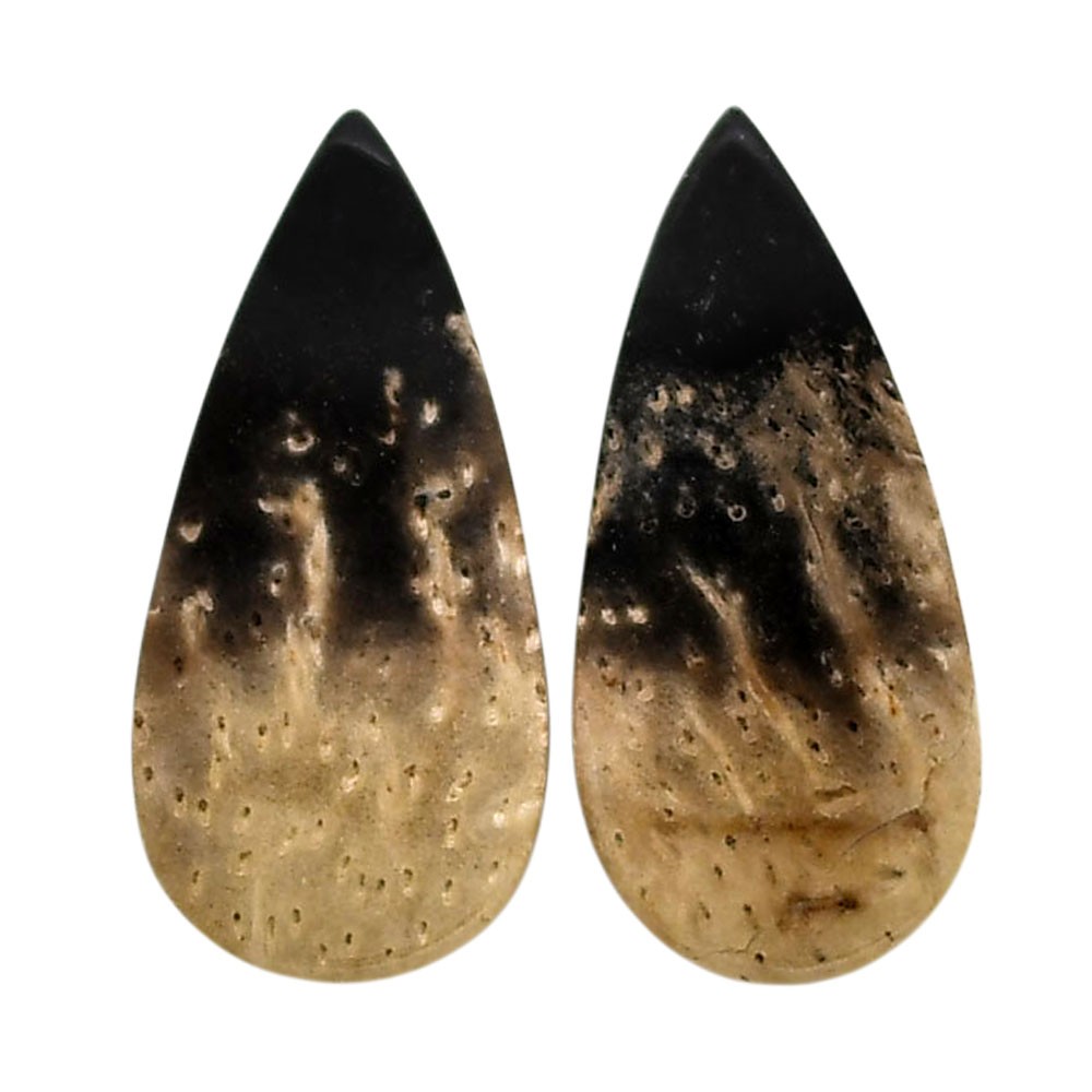 Natural Root Plume Agate Pair 12×25.7×4.5 mm Pear Polished Gemstone LS18-04599