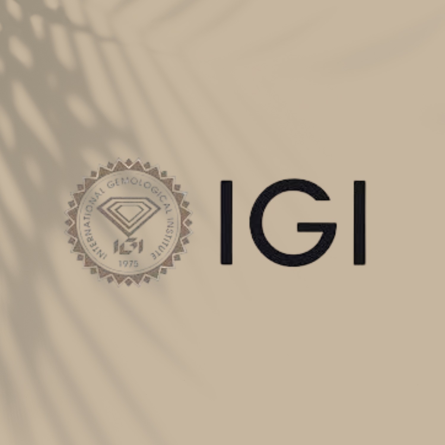 2.51 Ct Round Cut IGI Certified Lab Grown CVD Diamond G Color VS1 Clarity Stone