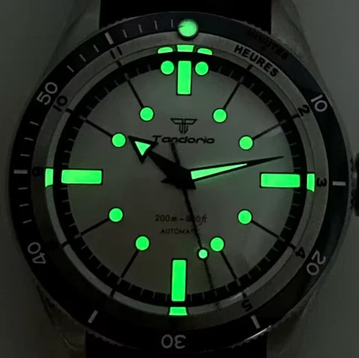 20ATM Diver Tandorio 40mm Sapphire Red Blue Japan NH35A Automatic Men Watch Lume