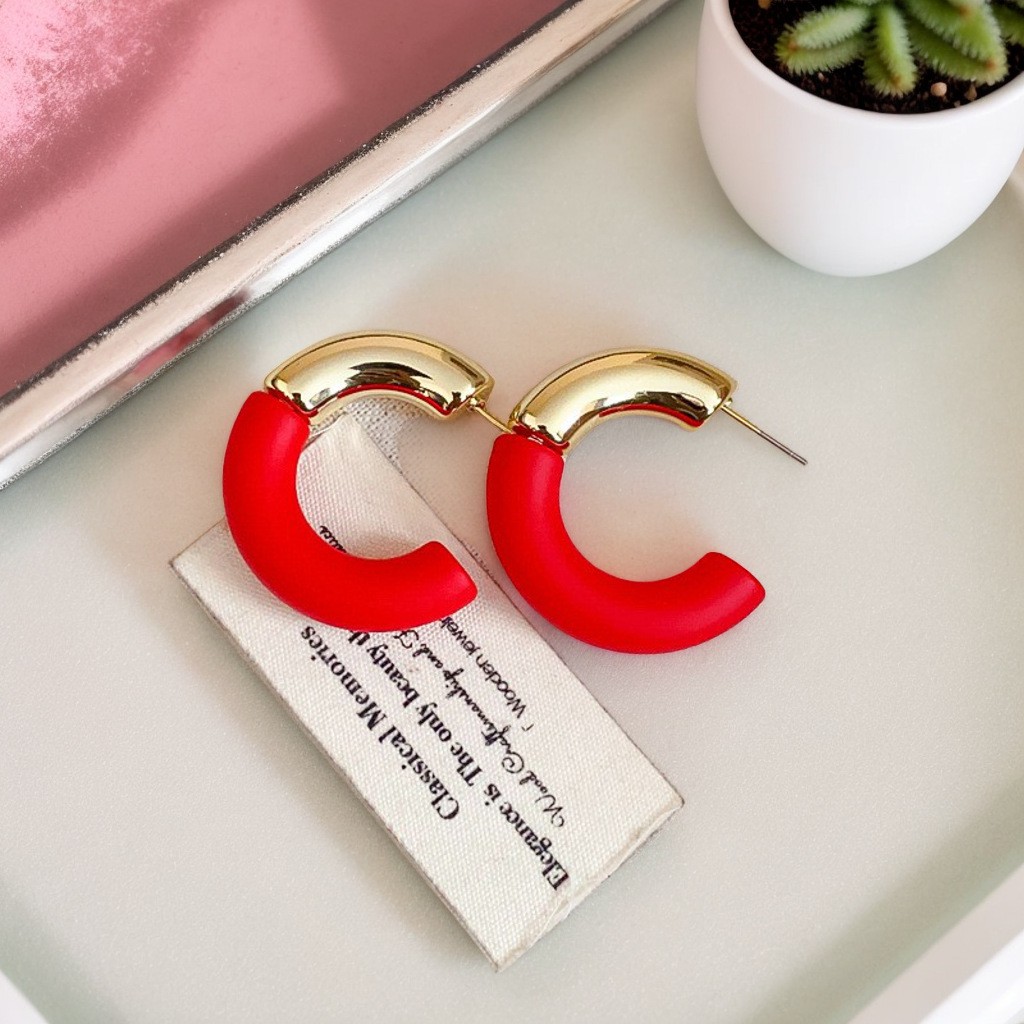 Women’s Two Tone Geometric Hoop Earrings Retro Luxury Fall Jewelry 2Pcs