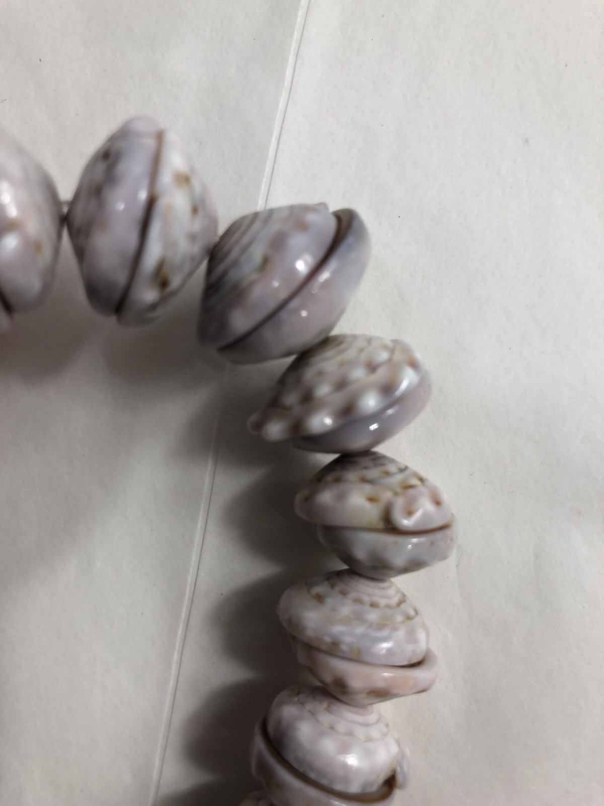 Puka Shell Necklace Hawaiian Lei Graduated 9 mm to 17 mm 17 in Length – Vintage