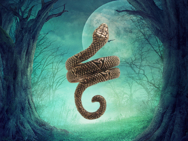 Solid Copper Snake Ring #CR563. Available in sizes 7 thru 10.