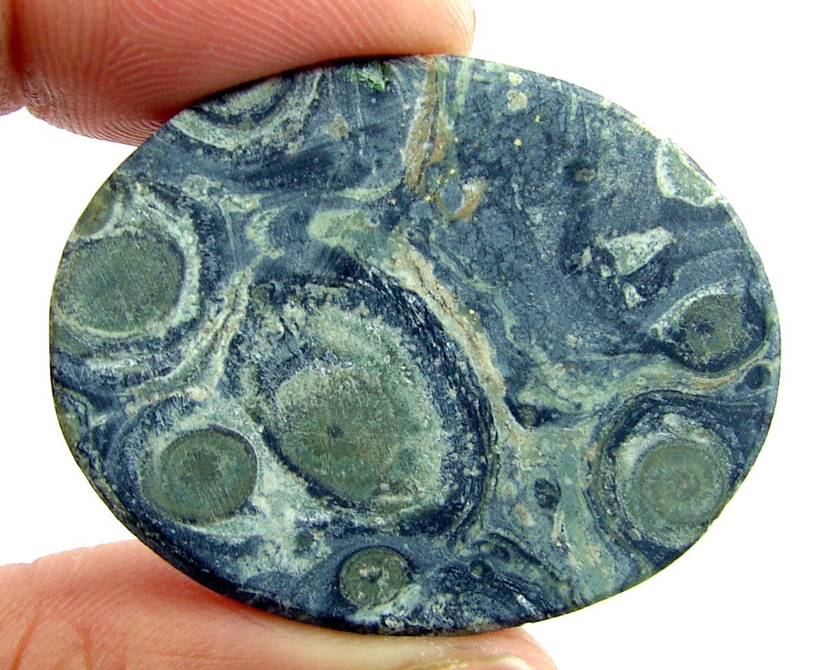 48.45 Ct Natural Kambaba Jasper Loose Gemstone Stone Cab Wire Wrap Stone – 2399