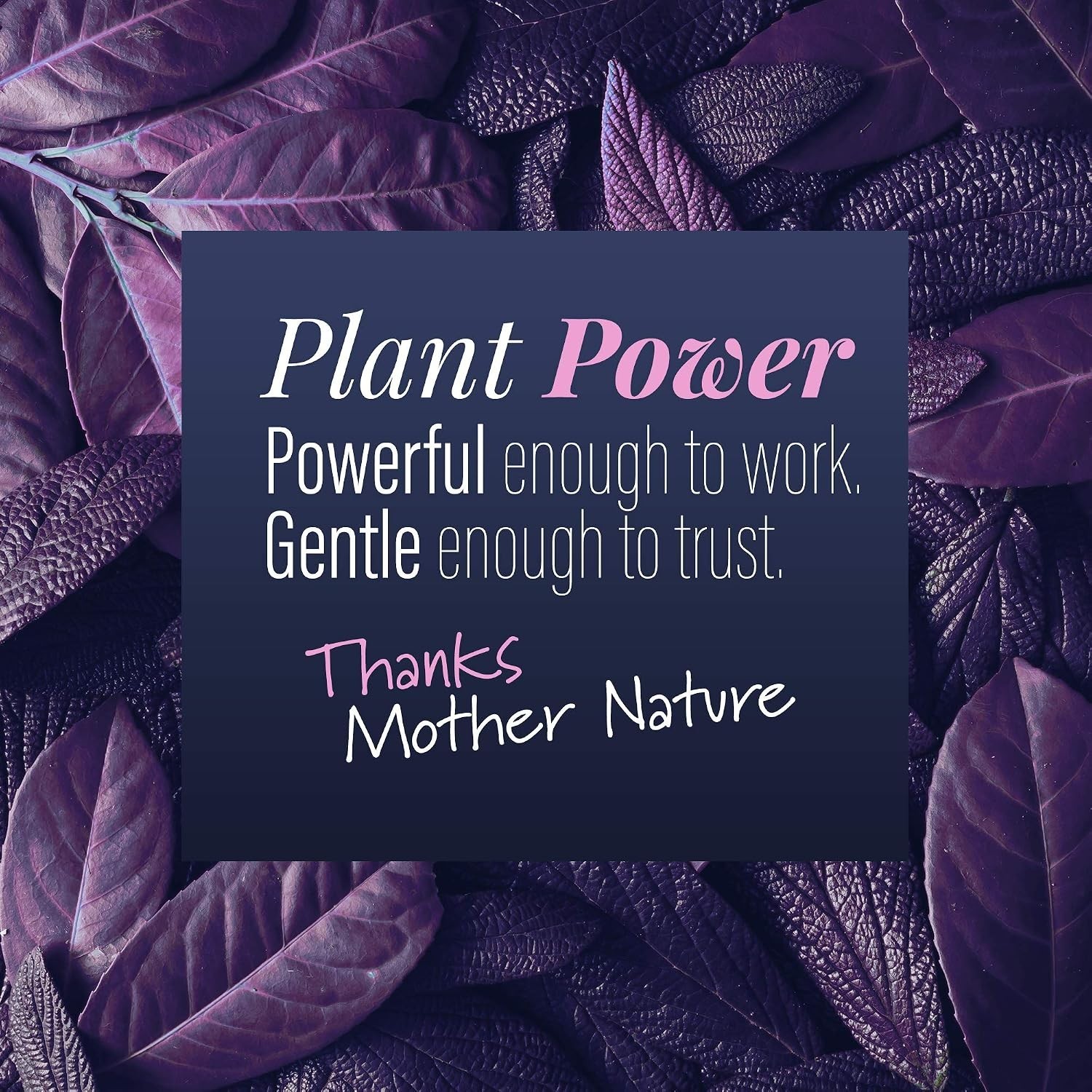 Plant-Based Jewelry & Eyeglass Cleaner – Concentrated Solution for All Machines