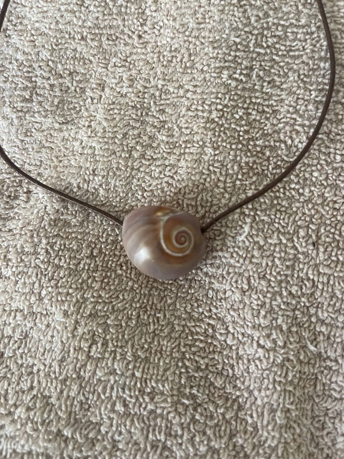 Hand Polished Shark Eye On 18 Inch Cord. Perfect For Your Beach Get Away