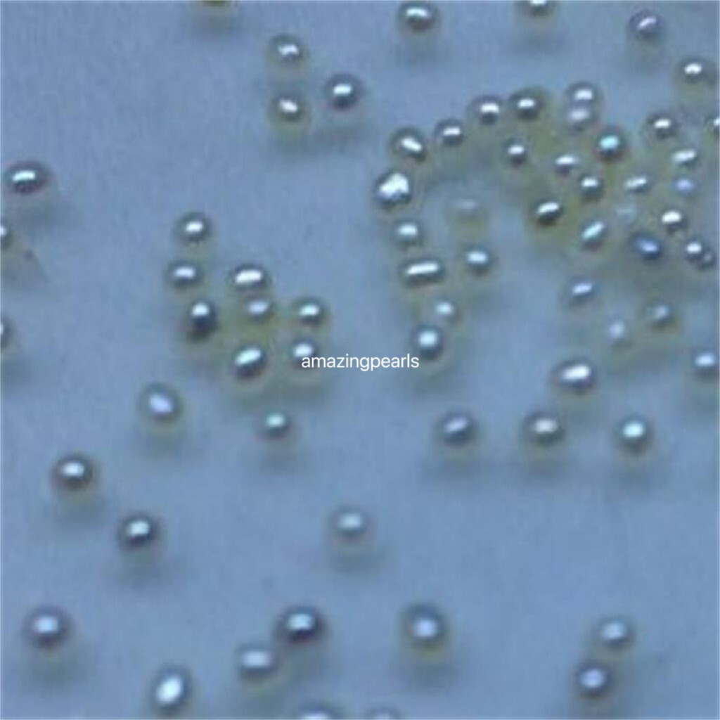 Rare White 0.8-1.5mm Small Tiny Round Fresh Water Pearl Loose Beads Undrilled