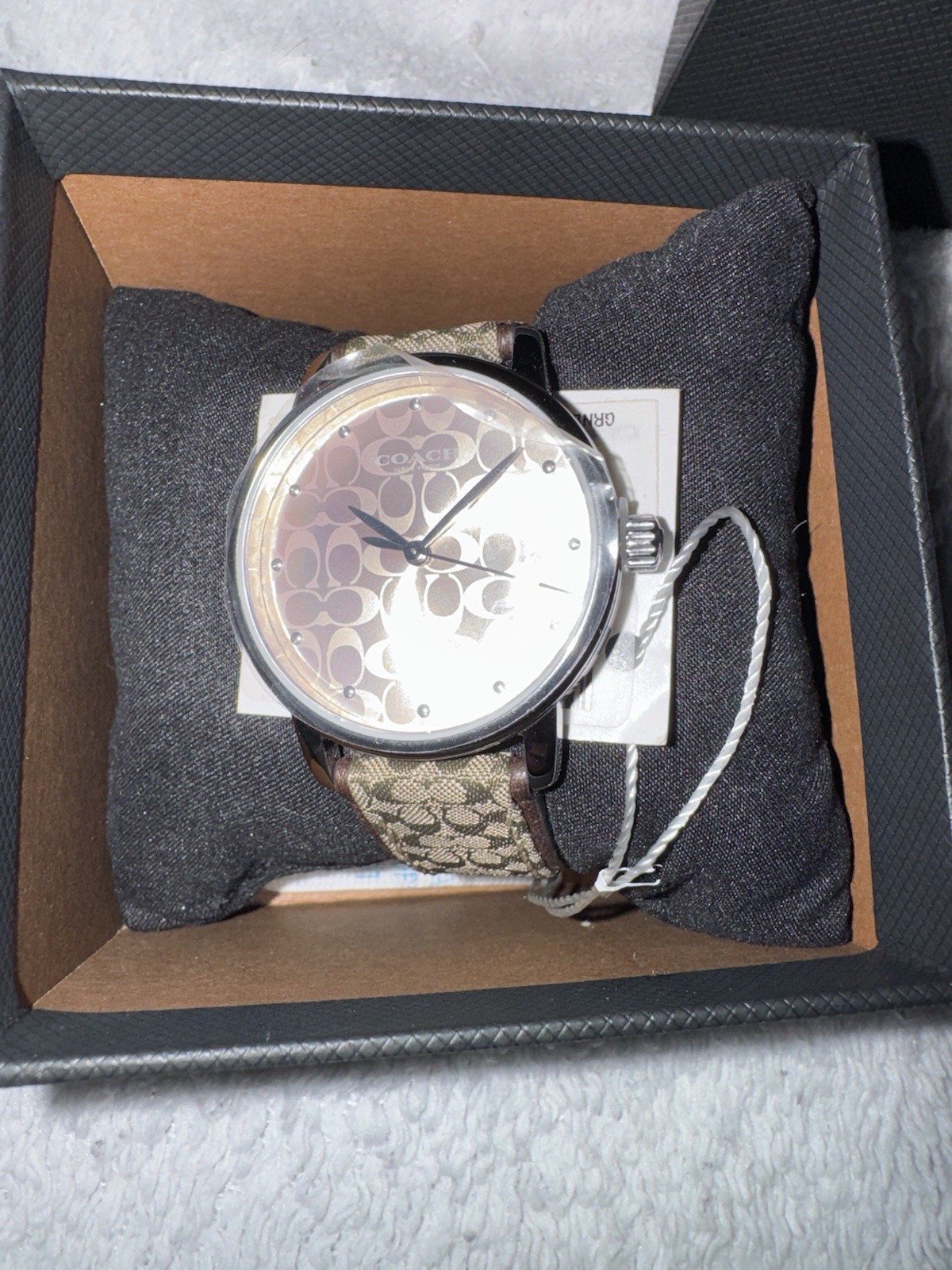Signature C Monogram Dial Watch